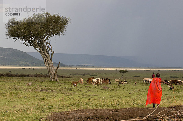 Masai Mann  Masai Mara  Kenia  Ostafrika  Afrika