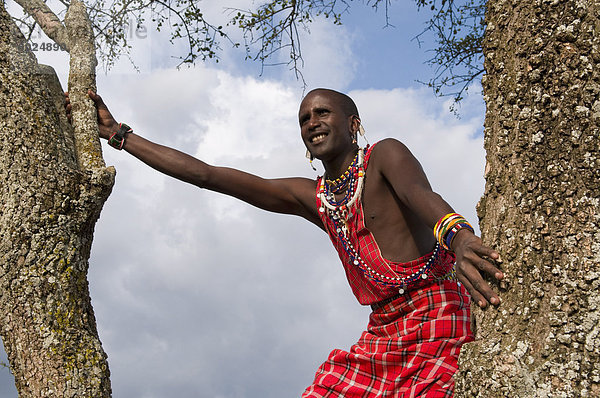 Suche für Wildtiere  Masai Mara  Kenia  Ostafrika  Afrika Massai