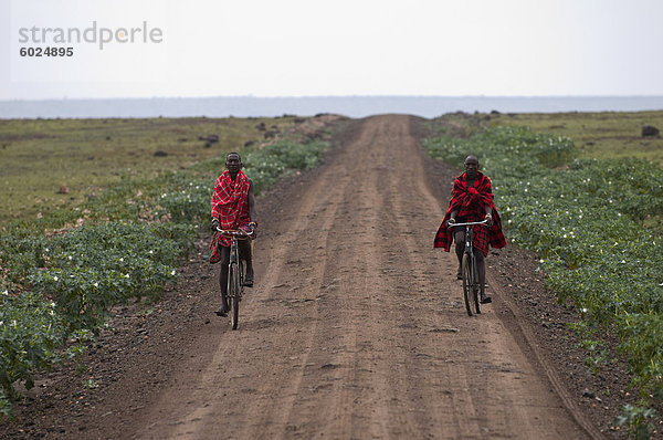 Masai Männer  Masai Mara  Kenia  Ostafrika  Afrika