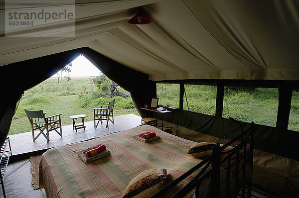 Elefanten Pepper Camp-Masai Mara National Reserve  Kenia  Ostafrika  Afrika