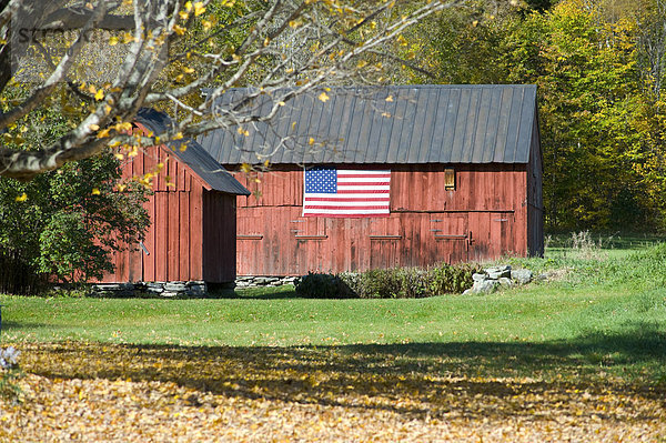 Eine alte rote Scheune mit eine amerikanische Flagge hängen an der Seite und Herbstlaub auf dem Hügel hinter  Vermont  New England  Vereinigte Staaten von Amerika  Nordamerika