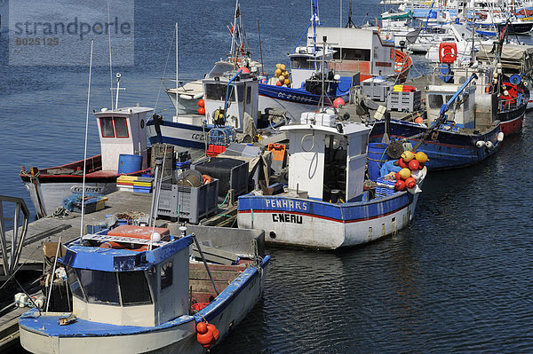 Fischerboote  Concarneau  Finistere  Bretagne  Frankreich  Europa