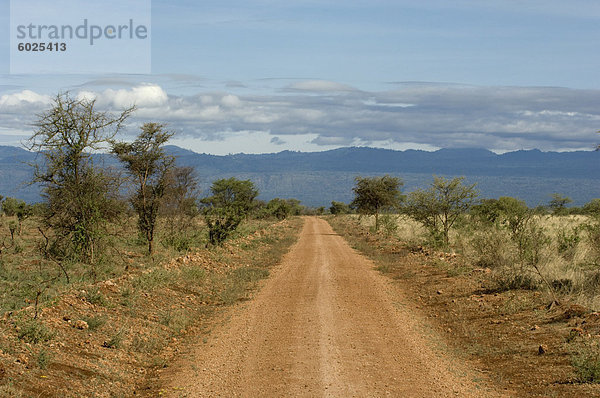 Meru Nationalpark  Kenia  Ostafrika  Afrika