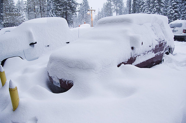 Autos unter schweren Schnee fallen im Winter Ski Resort  Lake Tahoe  California  Vereinigte Staaten von Amerika  Nordamerika