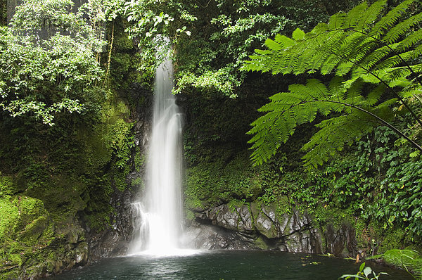 Malabsay Wasserfall  Mount Isarog National Park  Bicol  südöstlichen Luzon  Philippinen  Südostasien  Asien