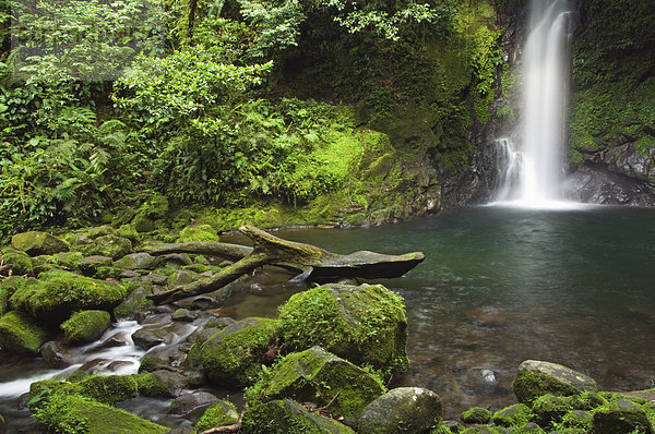 Malabsay Wasserfall  Mount Isarog National Park  Bicol  südöstlichen Luzon  Philippinen  Südostasien  Asien