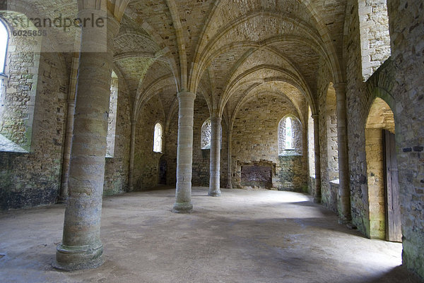 Krypta  Ruinen der Battle Abbey  Schlacht  Sussex  England  Vereinigtes Königreich  Europa