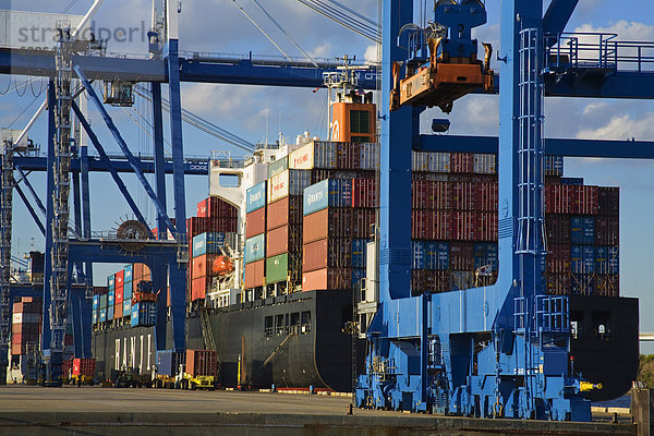 Containerhafen  Charleston  South Carolina  Vereinigte Staaten von Amerika  Nordamerika