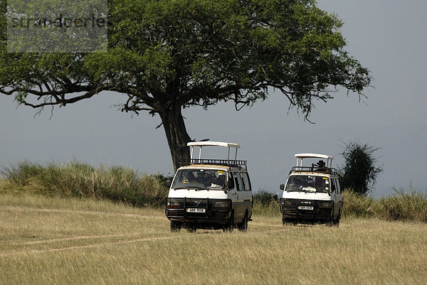 Murchison Falls Bereich  Uganda  Ostafrika  Afrika