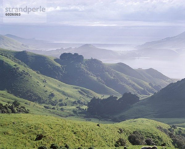 Vulkanische Hügellandschaft  Blick in Richtung Taiaroa Head  Albatross  in der Nähe von Dunedin  Otago Peninsula  Otago  Südinsel  Neuseeland  Pazifik