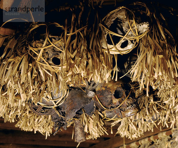 Trophäe Schädel aus Headhunting hängen auf dem Display in einem Longhouse-Galerie in Sarawak  Borneo  Malaysia  Südostasien  Asien