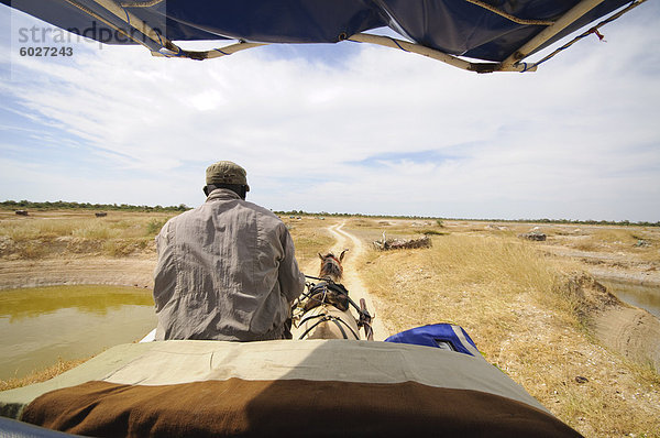 Pferd und Wagen auf Gleis  Sine-Saloum Delta  Senegal  West-Afrika  Afrika