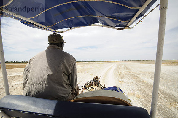 Pferd und Wagen auf Gleis  Sine-Saloum Delta  Senegal  West-Afrika  Afrika