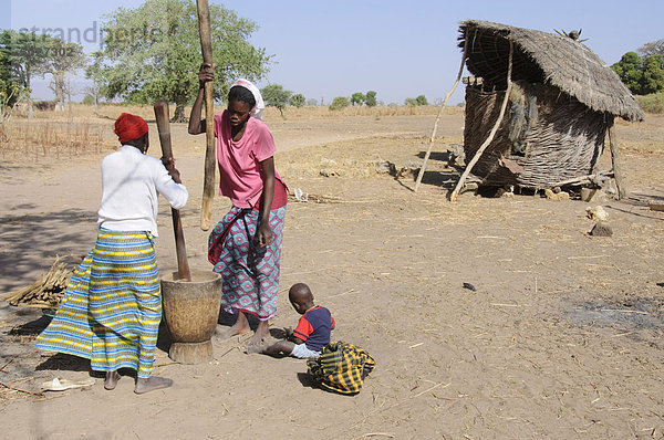 Stampfen Hirse  Serer (Serere) Tribal Village  Senegal  Westafrika  Afrika