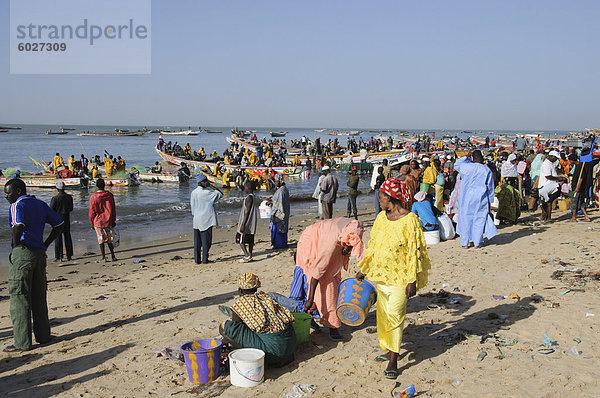 Mbour Fish Market  Mbour  Senegal  Westafrika  Afrika