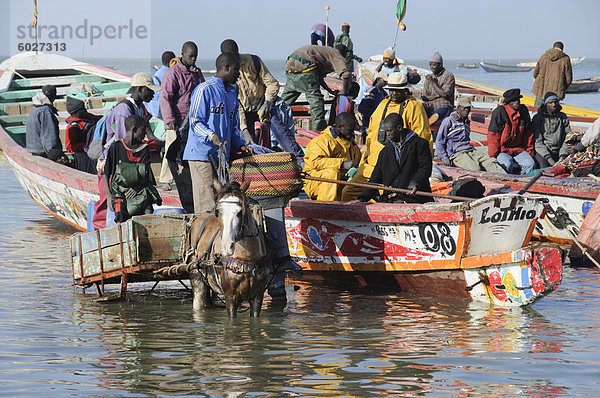 Entladen Fischerboote (Pirogen)  Mbour Fischmarkt  Mbour  Senegal  Westafrika  Afrika