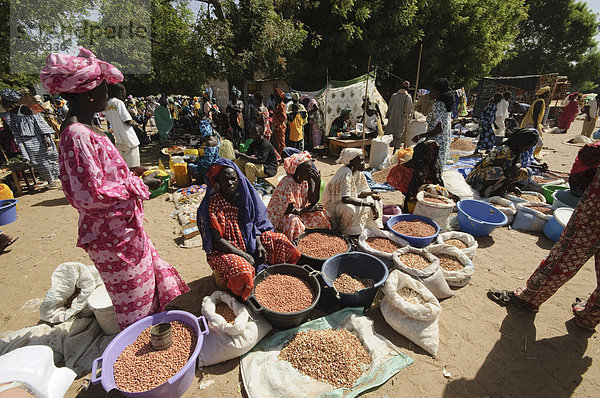 Markt am Ngueniene  in der Nähe von Mbour  Senegal  Westafrika  Afrika