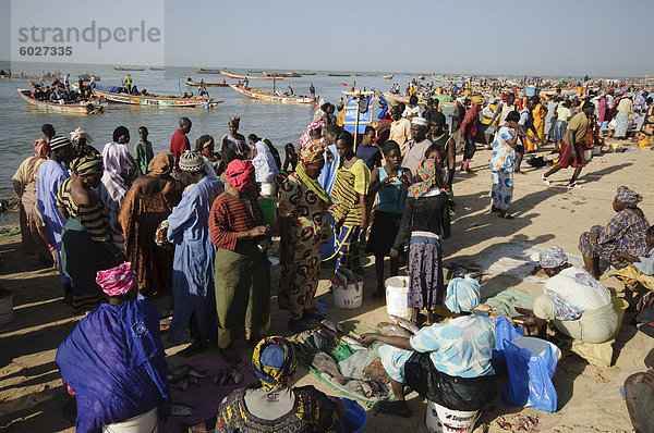 Mbour Fish Market  Mbour  Senegal  Westafrika  Afrika