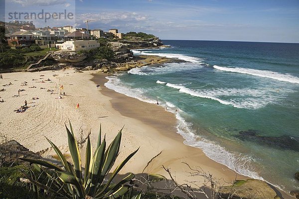 Der modische Strand bei Tamarama  begehrte Umkreis zwischen Bondi und Bronte in die östlichen Vororte  Tamarama  Sydney  New South Wales  Australien  Pazifik