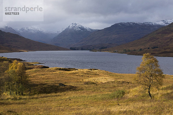 Loch Arklet im Herbst  Trossachs  Stirlingshire  Schottland  Vereinigtes Königreich  Europa