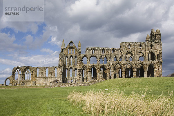 Whitby Abbey  Yorkshire  England  Vereinigtes Königreich  Europa