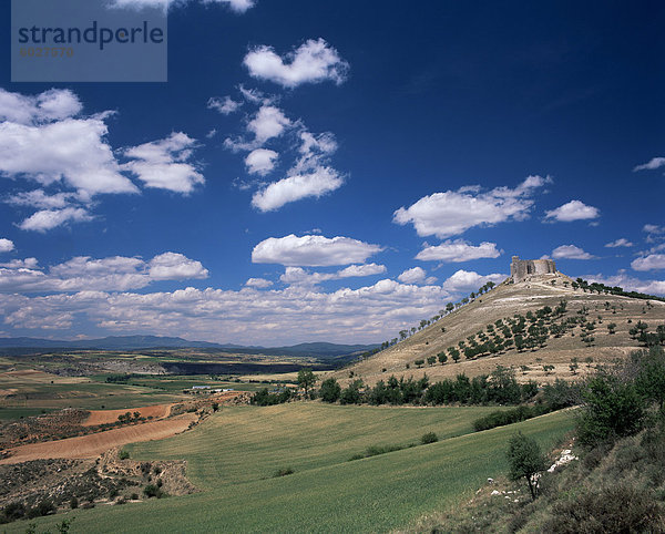 Blick zur Burg auf der Anhöhe über Felder  Jadraque  Guadalajara  Kastilien-La Mancha (Neukastilien)  Spanien  Europa