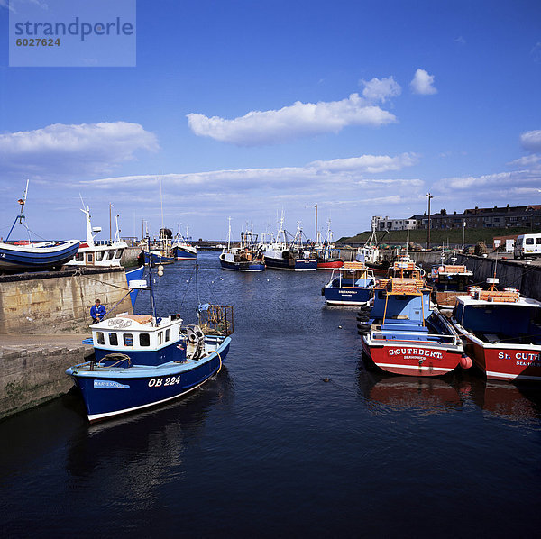 Hafen  Seahouses  Northumberland  England  Vereinigtes Königreich  Europa