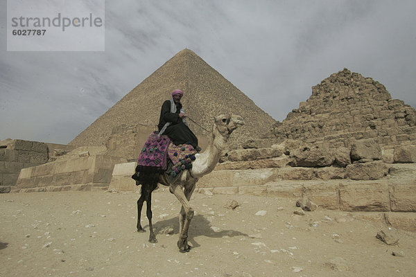 Ein Beduine mit seinem Kamel durch die Gizeh Pyramiden  UNESCO Weltkulturerbe  Ägypten  Nordafrika  Afrika