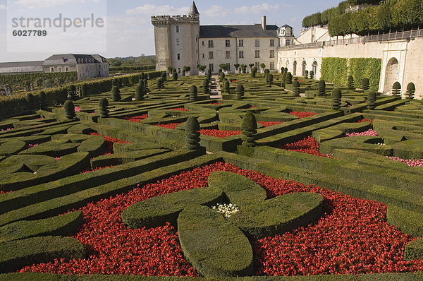 Teil der umfangreichen Blumen- und Gemüsegärten  Chateau de Villandry  UNESCO Weltkulturerbe  Indre-et-Loire  Loire-Tal  Frankreich  Europa