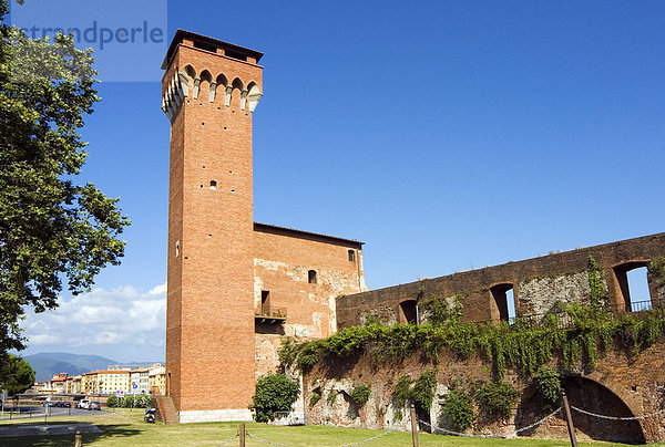 Der Turm der Zitadelle  Pisa  Toskana  Italien  Europa