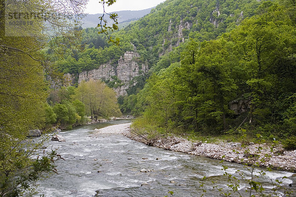 Chepelarska-Schlucht  Asenowgrad  Bulgarien  Europa