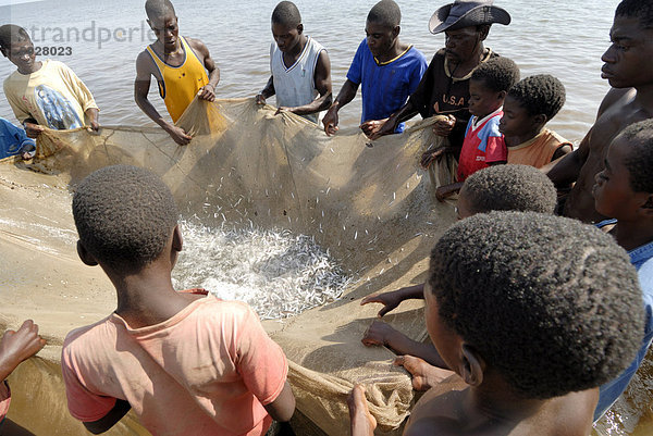 Mangochi Strand  Lake Malawi  Malawi  Afrika