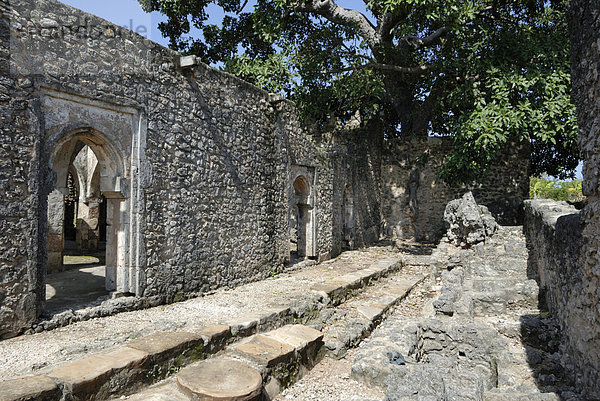 Die große Moschee  Kilwa Kisiwani Insel  UNESCO Weltkulturerbe  Tansania  Ostafrika  Afrika