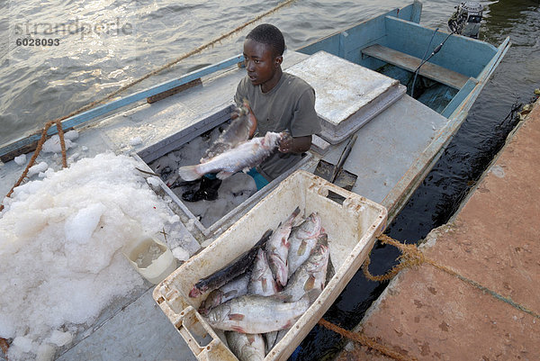 Fischer auf dem Nil  Bukoba  Tansania  Ostafrika  Afrika