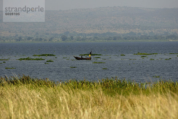 Murchison Falls Bereich  Uganda  Ostafrika  Afrika