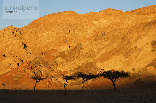 Desertscape  in der Nähe von Nuweiba  Sinai  Ägypten  Nordafrika  Afrika