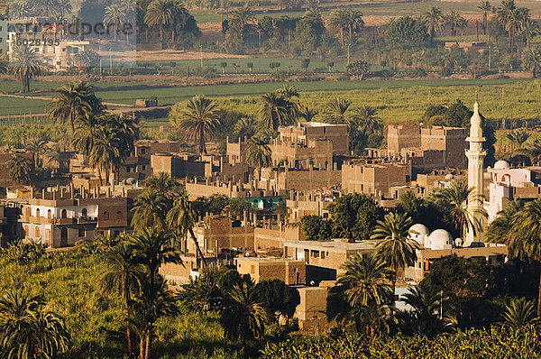 Gezira Stadt  Luxor  Theben  mittlerer Ägypten  Ägypten  Nordafrika  Afrika