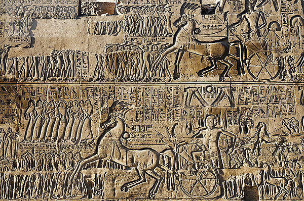 Wand Erleichterung  Amun-Tempel in Karnak  Theben  UNESCO Weltkulturerbe  Ägypten  Nordafrika  Afrika