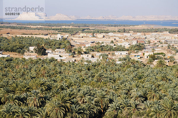 Birket Siwa (Siwa Lake)  Oase Siwa  libysche Wüste  Ägypten  Nordafrika  Afrika