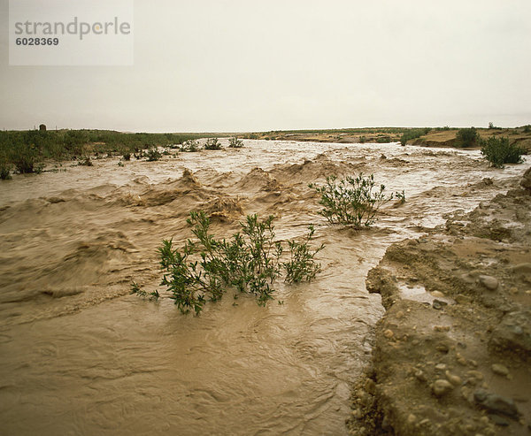 Sturzflut in Oued (Flussbett) normalerweise trockenes algerische Sahara Gebiet  Algerien  Nordafrika  Afrika