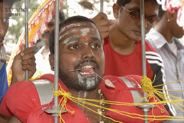 Retroadapter Pilgers in Trance  eine Kavadi (Träger) hat eine Nadel durch seine Zunge und trägt die Vel Kavadi befestigt von Spikes  die seine Haut  während hinduistische Thaipusam Festival  tragen es aus Sri Subramaniyar Swami Tempel bis zu Batu Caves  Selangor  Malaysia  Südostasien  Asien durchbohren