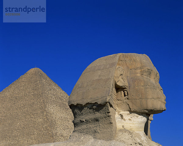 Die große Sphinx und einer der Pyramiden  Gizeh  UNESCO Weltkulturerbe  Kairo  Ägypten  Nordafrika  Afrika