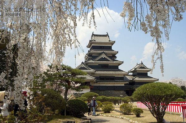 Kirschblüten  Burg Matsumoto  Matsumoto Nagano-Präfektur  der Insel Honshu  Japan  Asien
