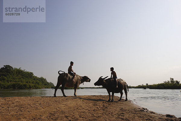 Zwei jungen auf Wasserbüffel am Mekong Fluss  in der Nähe von Kratie  östliche Kambodscha  Indochina  Südostasien  Asien