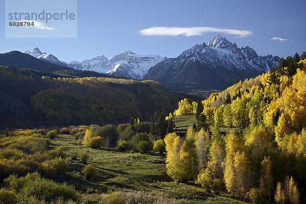 Sneffels Palette mit Farben des Herbstes  in der Nähe von Dallas zu unterteilen  Colorado  USA  Nordamerika