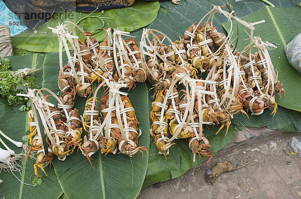 Morgen Lebensmittelmarkt  Luang Prabang  Laos  Indochina  Südostasien  Asien