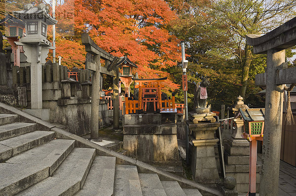 Top von Mount Inari  Fushimi Inari-Taisha-Schrein  Kyoto  Kansai (Western Province)  Honshu  Japan  Asien