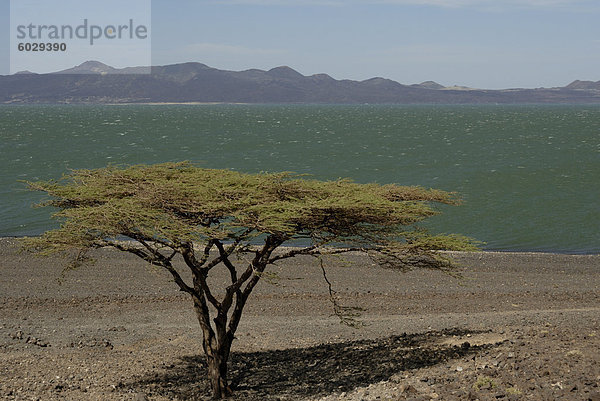 Lake Turkana  Kenia  Ostafrika  Afrika