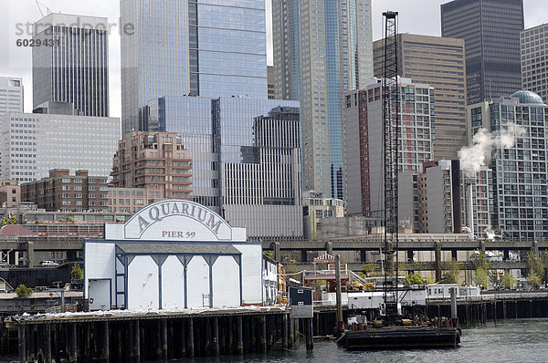 Direkt am Meer und Hafen  Elliott Bay  Seattle  Bundesstaat Washington  Vereinigte Staaten von Amerika  Nordamerika