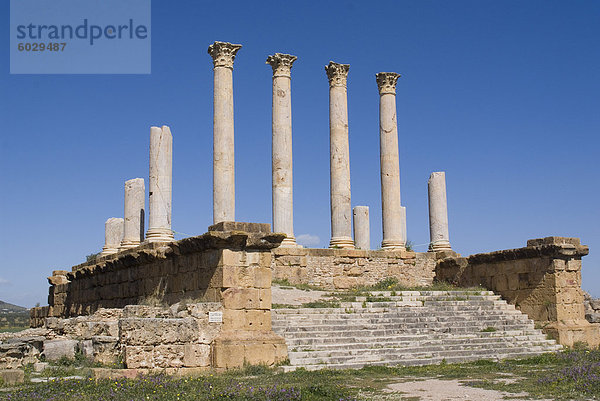 Capitolium (Tempel der drei wichtigsten Göttern)  römische Ruine Thuburbo Majus  Tunesien  Nordafrika  Afrika